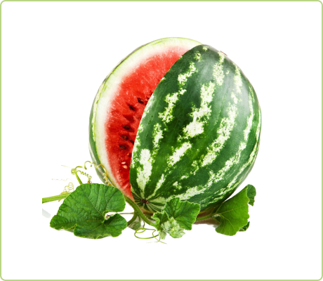 melons_3